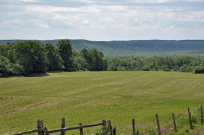 Property View - Country homes for sale and luxury real estate including horse farms and property in the Caledon and King City areas near Toronto